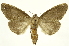  ( - INBIOCR002117340)  @11 [ ] Copyright (2012) J. Montero INBio