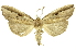  ( - INBIOCRI000002847)  @14 [ ] Copyright (2012) Juan Mata Lorenzen INBio