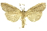  ( - INBIOCRI000002847)  @14 [ ] Copyright (2012) Juan Mata Lorenzen INBio