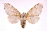  ( - INBIOCRI000021196)  @14 [ ] Copyright (2012) J. Montero Instituto Nacional de Biodiversidad