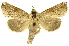  ( - INBIOCRI000065356)  @13 [ ] Copyright (2012) J. Montero INBio