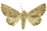  ( - INBIOCRI000069759)  @14 [ ] Copyright (2012) Juan Mata Lorenzen INBio