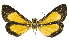  ( - INBIOCRI000104370)  @11 [ ] Copyright (2012) Juan Mata Lorenzen Unspecified