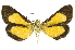  ( - INBIOCRI000104370)  @11 [ ] Copyright (2012) Juan Mata Lorenzen Unspecified