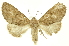  ( - INBIOCRI000155242)  @11 [ ] Copyright (2012) Juan Mata Lorenzen INBio