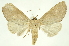 ( - INBIOCRI000155242)  @11 [ ] Copyright (2012) Juan Mata Lorenzen INBio