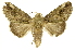  ( - INBIOCRI000161384)  @11 [ ] Copyright (2012) J. Montero INBio