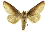  ( - INBIOCRI000163479)  @14 [ ] Copyright (2012) Juan Mata Lorenzen INBio