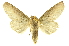  ( - INBIOCRI000163479)  @14 [ ] Copyright (2012) Juan Mata Lorenzen INBio