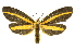  ( - INBIOCRI000177168)  @15 [ ] Copyright (2012) Juan Mata Lorenzen INBio