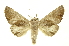  ( - INBIOCRI000185357)  @14 [ ] Copyright (2012) Juan Mata Lorenzen Unspecified