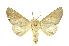  ( - INBIOCRI000185357)  @14 [ ] Copyright (2012) Juan Mata Lorenzen Unspecified