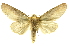  ( - INBIOCRI000187418)  @13 [ ] Copyright (2012) Juan Mata Lorenzen INBio