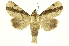  ( - INBIOCRI000193211)  @14 [ ] Copyright (2012) J. Montero INBio