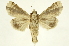  ( - INBIOCRI000193211)  @14 [ ] Copyright (2012) J. Montero INBio