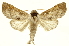  ( - INBIOCRI000194640)  @13 [ ] Copyright (2012) Juan Mata Lorenzen INBio