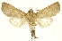  ( - INBIOCRI000194640)  @12 [ ] Copyright (2012) Juan Mata Lorenzen INBio