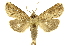  ( - INBIOCRI000194675)  @14 [ ] Copyright (2012) J. Montero INBio