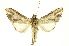  ( - INBIOCRI000198826)  @11 [ ] Copyright (2012) Juan Mata Lorenzen INBio