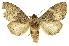  ( - INBIOCRI000205403)  @14 [ ] Copyright (2012) J. Montero INBio