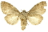  ( - INBIOCRI000205403)  @14 [ ] Copyright (2012) J. Montero INBio