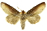  ( - INBIOCRI000213721)  @14 [ ] Copyright (2012) Juan Mata Lorenzen INBio