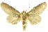  ( - INBIOCRI000213721)  @14 [ ] Copyright (2012) Juan Mata Lorenzen INBio