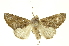  ( - INBIOCRI000216317)  @11 [ ] Copyright (2012) Juan Mata Lorenzen Unspecified