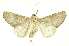  ( - INBIOCRI000216317)  @11 [ ] Copyright (2012) Juan Mata Lorenzen Unspecified