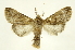  ( - INBIOCRI000217516)  @11 [ ] Copyright (2012) J. Montero INBio