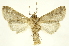  ( - INBIOCRI000217516)  @11 [ ] Copyright (2012) J. Montero INBio