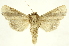  ( - INBIOCRI000217876)  @13 [ ] Copyright (2012) J. Montero INBio