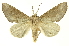 ( - INBIOCRI000222077)  @13 [ ] Copyright (2012) Juan Mata Lorenzen Unspecified