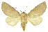  ( - INBIOCRI000222137)  @14 [ ] Copyright (2012) Juan Mata Lorenzen INBio