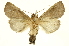  ( - INBIOCRI000240770)  @15 [ ] Copyright (2012) Juan Mata Lorenzen INBio