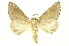  ( - INBIOCRI000241016)  @11 [ ] Copyright (2012) Juan Mata Lorenzen INBio