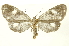  ( - INBIOCRI000246661)  @14 [ ] Copyright (2012) Juan Mata Lorenzen INBio