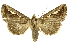  ( - INBIOCRI000246852)  @11 [ ] Copyright (2012) J. Montero INBio