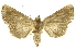  ( - INBIOCRI000246852)  @11 [ ] Copyright (2012) J. Montero INBio