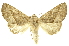  ( - INBIOCRI000265692)  @11 [ ] Copyright (2012) Juan Mata Lorenzen INBio