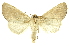  ( - INBIOCRI000265692)  @11 [ ] Copyright (2012) Juan Mata Lorenzen INBio