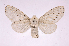  ( - INBIOCRI000274575)  @14 [ ] Copyright (2012) J. Montero Instituto Nacional de Biodiversidad