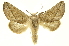  ( - INBIOCRI000275239)  @11 [ ] Copyright (2012) Juan Mata Lorenzen INBio