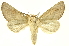  ( - INBIOCRI000275239)  @11 [ ] Copyright (2012) Juan Mata Lorenzen INBio