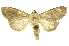  ( - INBIOCRI000288547)  @11 [ ] Copyright (2012) J. Montero INBio