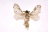  ( - INBIOCRI000289384)  @12 [ ] Copyright (2012) J. Montero Instituto Nacional de Biodiversidad
