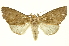  ( - INBIOCRI000317965)  @14 [ ] Copyright (2012) Juan Mata Lorenzen INBio