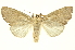  ( - INBIOCRI000317965)  @14 [ ] Copyright (2012) Juan Mata Lorenzen INBio