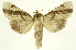  ( - INBIOCRI000334571)  @14 [ ] Copyright (2012) J. Montero INBio