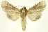  ( - INBIOCRI000334571)  @13 [ ] Copyright (2012) J. Montero INBio